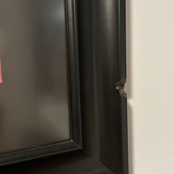 Basil Gogos Print Matted and Framed​​​ - Picture 2 of 6